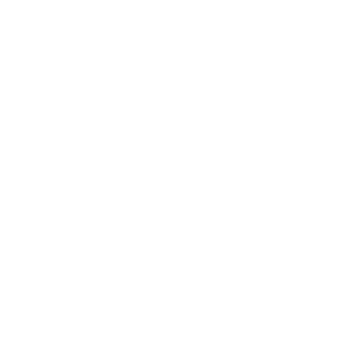 OUT OF THE PIXEL